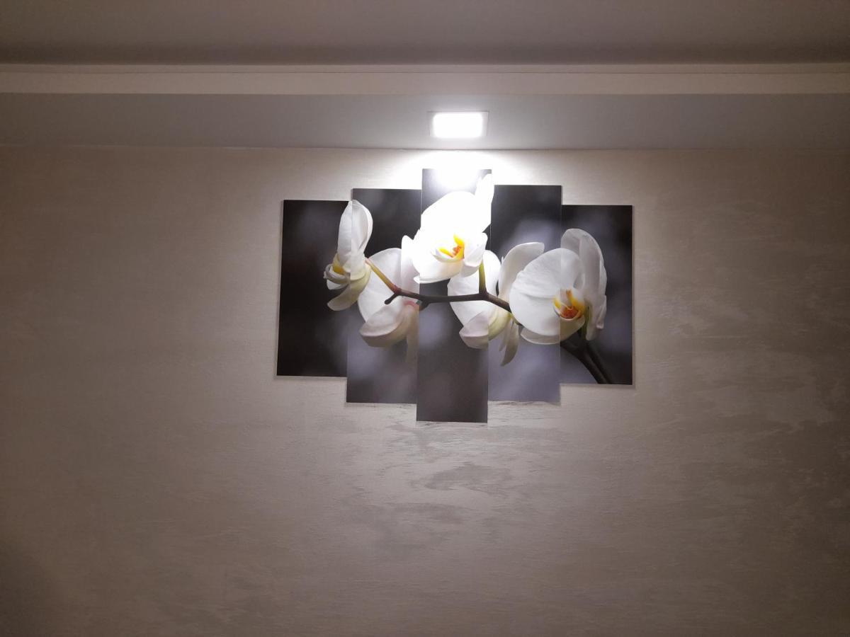 Ferienwohnung Daca 1 Belgrad Exterior foto